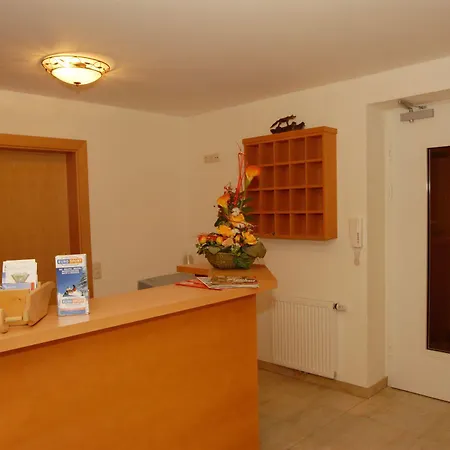 Glasererhaus Целль-ам-Зеє